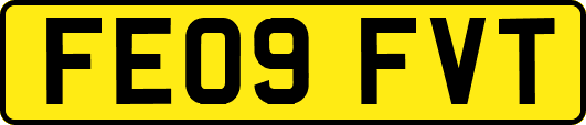 FE09FVT