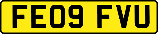 FE09FVU