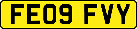 FE09FVY