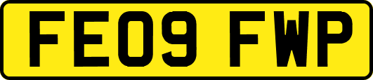 FE09FWP