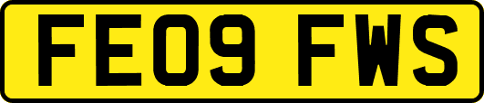 FE09FWS