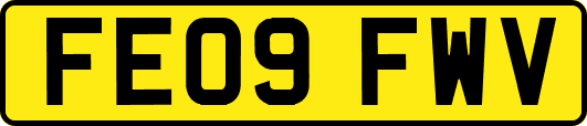 FE09FWV