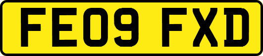 FE09FXD