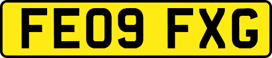 FE09FXG