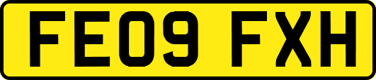 FE09FXH