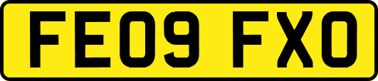 FE09FXO