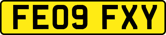 FE09FXY