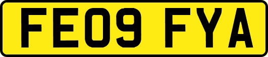 FE09FYA