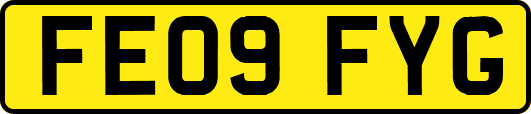 FE09FYG