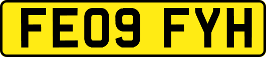 FE09FYH