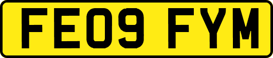 FE09FYM