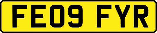 FE09FYR