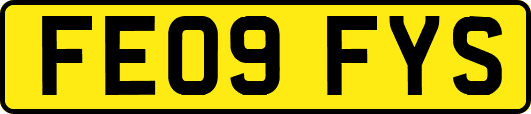 FE09FYS