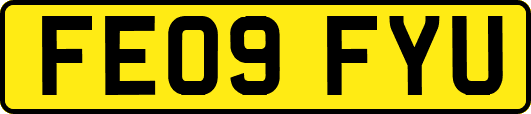 FE09FYU