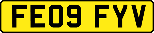 FE09FYV