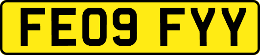 FE09FYY