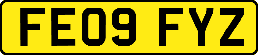 FE09FYZ