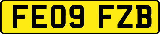 FE09FZB