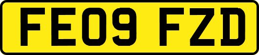 FE09FZD