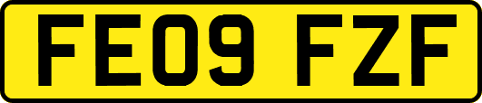 FE09FZF