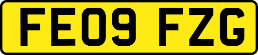 FE09FZG