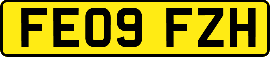 FE09FZH