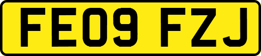 FE09FZJ