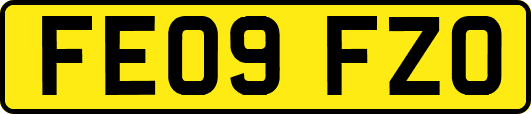 FE09FZO