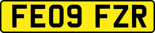 FE09FZR