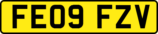 FE09FZV