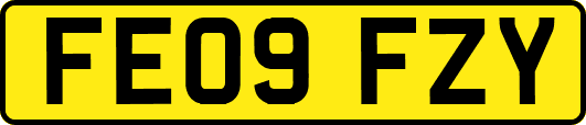 FE09FZY