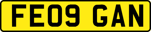 FE09GAN