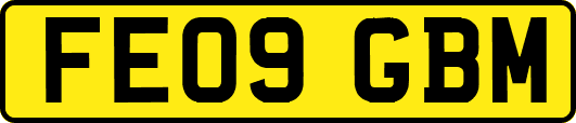 FE09GBM