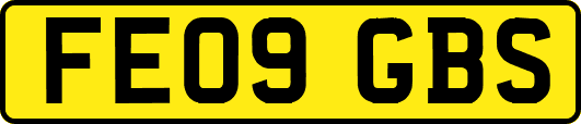 FE09GBS