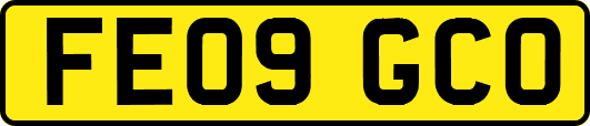 FE09GCO