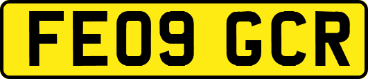 FE09GCR