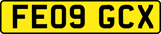 FE09GCX