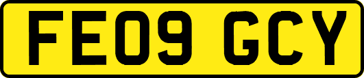 FE09GCY