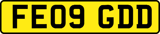 FE09GDD