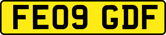 FE09GDF