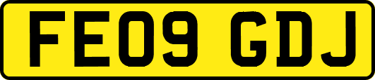 FE09GDJ