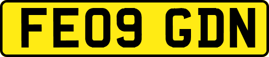 FE09GDN