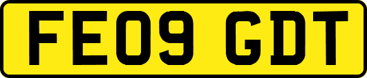 FE09GDT