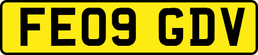 FE09GDV
