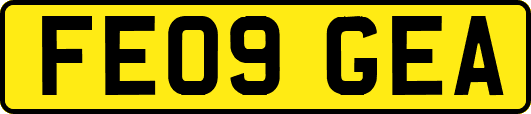 FE09GEA