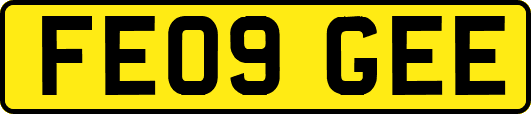 FE09GEE
