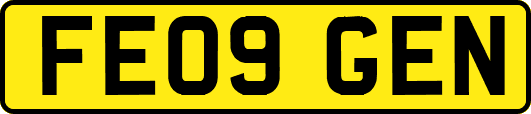 FE09GEN