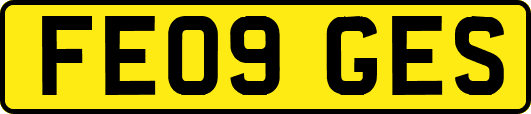 FE09GES