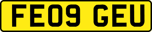 FE09GEU