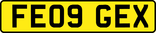 FE09GEX